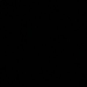 Meet your Posher, Ella